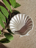 sea shell tray
