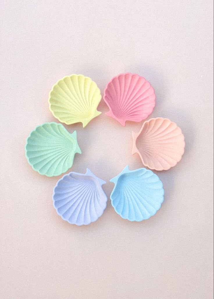 sea shell tray